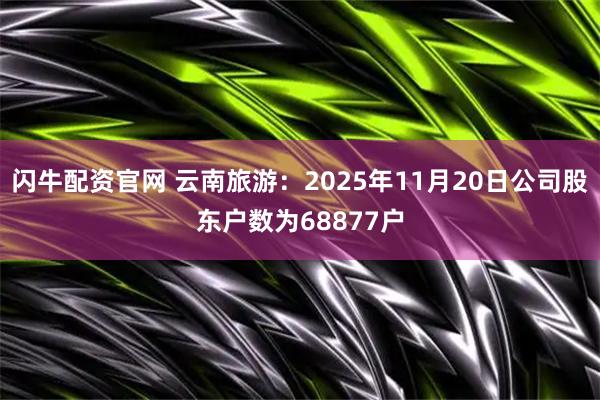 闪牛配资官网 云南旅游：2025年11月20日公司股东户数为68877户