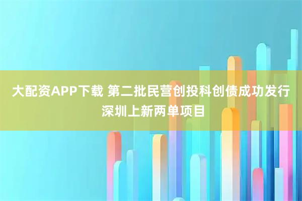 大配资APP下载 第二批民营创投科创债成功发行 深圳上新两单项目