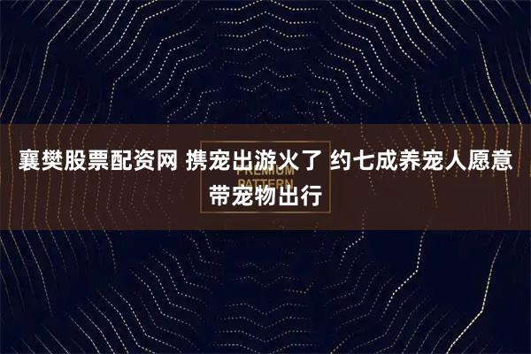 襄樊股票配资网 携宠出游火了 约七成养宠人愿意带宠物出行